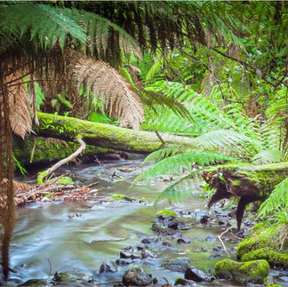 Horseshoe Falls Tasmania