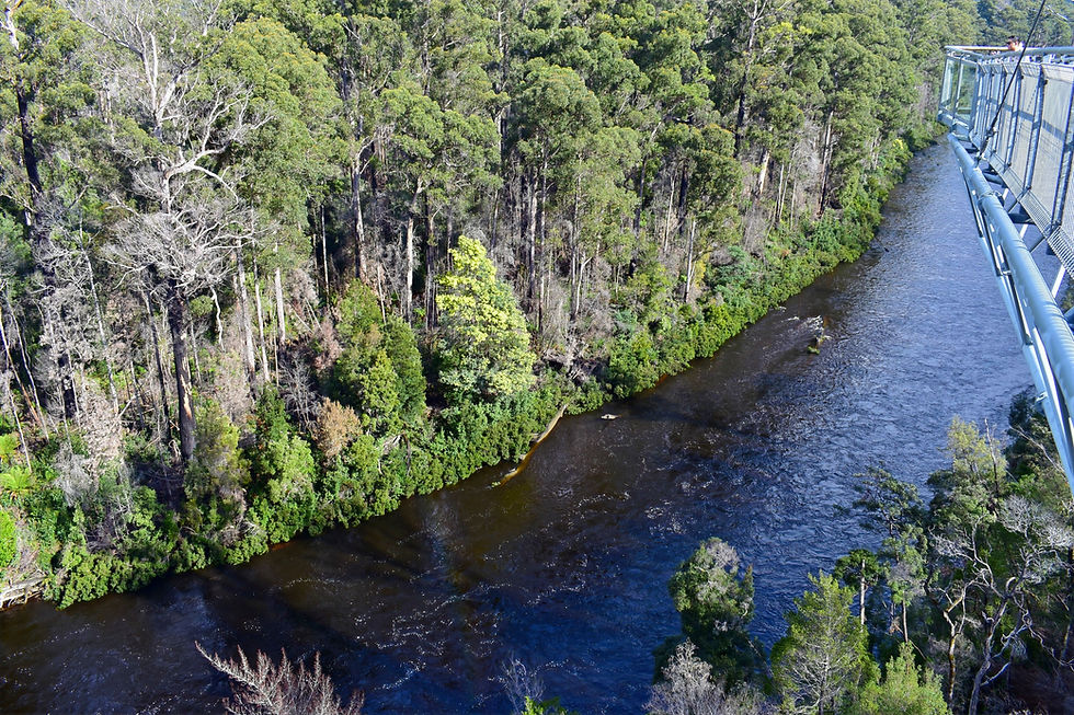 Tahune Adventures ~ Huon Valley, Tasmania.