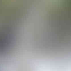 Lara Wetlands ~ Queensland