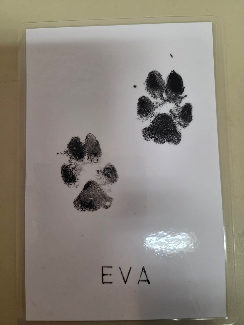 Thumbnail: Ink Paw Print