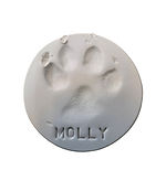 molly.jpg