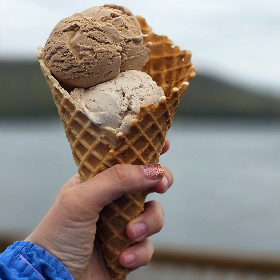 Coffee & Cinnamon Ice Cream on a Waffle Cone