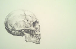 tumblr_m2cbi6gVvS1qcojafo1_1280