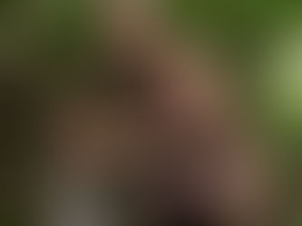 Why pygmies are so short?