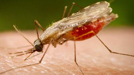 There is evidence of malaria existence 2,000 years ago