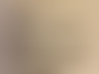 Trump Said What??? Here Are The Top 10 Zingers In President Trump’s Historic Letter To Nancy Pelosi