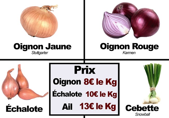 oignon echalote prix.png
