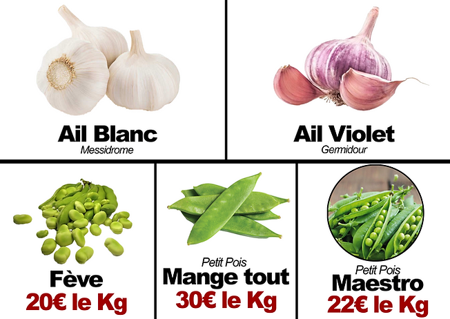 ail prix.png