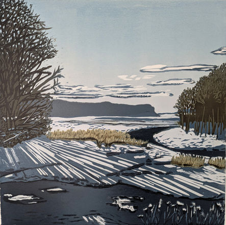 Marsh in Winter