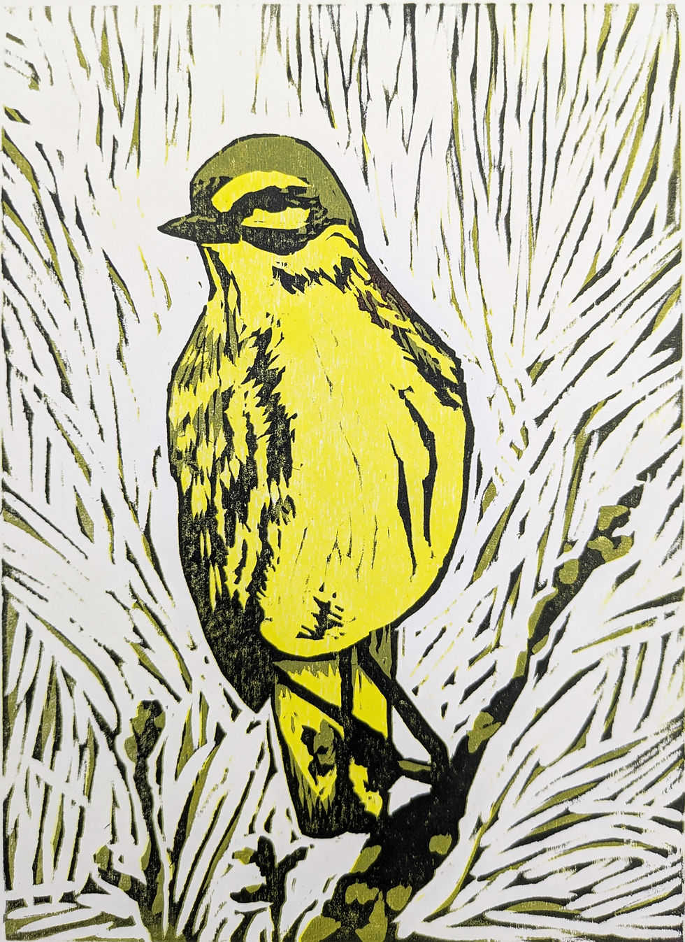 Thumbnail: Prairie Warbler