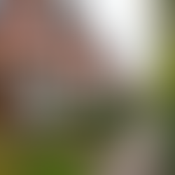 Master Houseshare Compliance in Burton upon Trent: HMO Compliance Tips