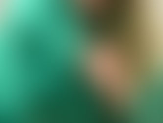 SF 73: Human Services