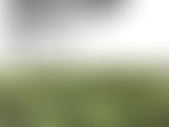 "Marijuana Movement" Coverage of HF3766/SF4734