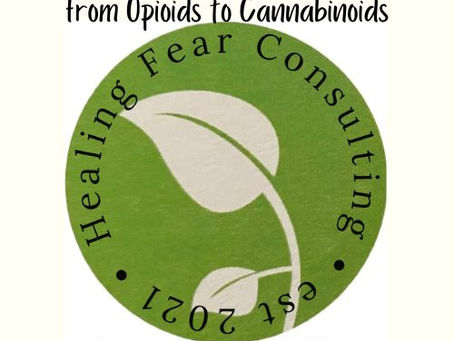 Patients, Brands, and Philanthropists- Healing Fear Consulting Needs Help;