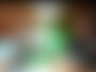 Northern Lights Podcast Epi 33- Saint Paul, MN