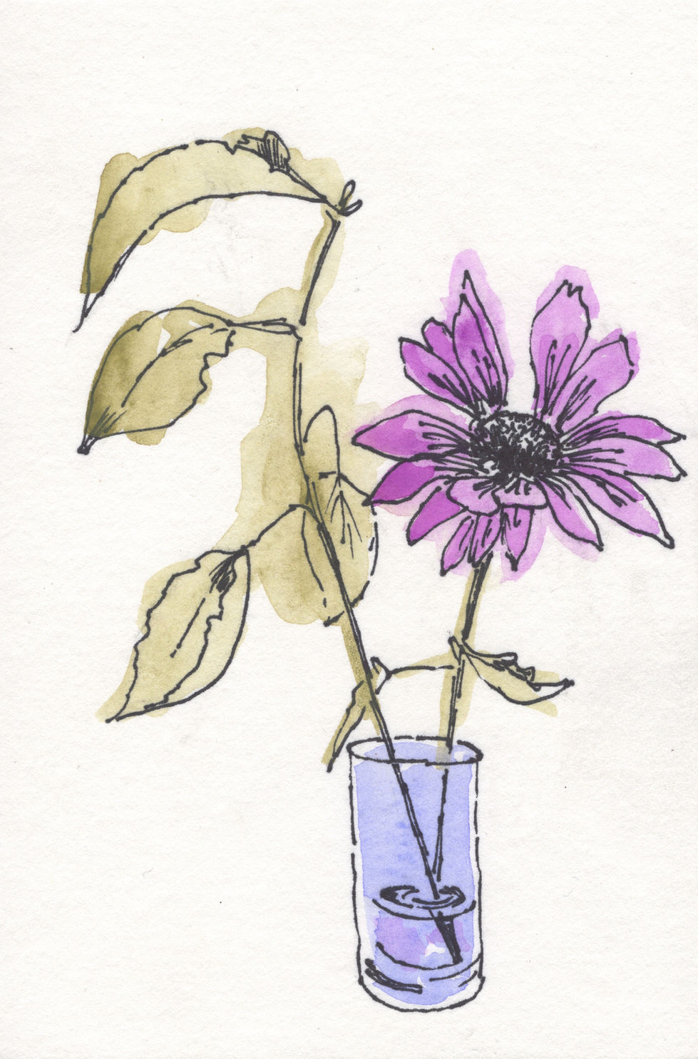 Single purple flower, watercolor and ink