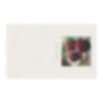 Thumbnail: Radish Tea Towel — "Stay Sharp — be a Radish" Cotton Kitchen Towel