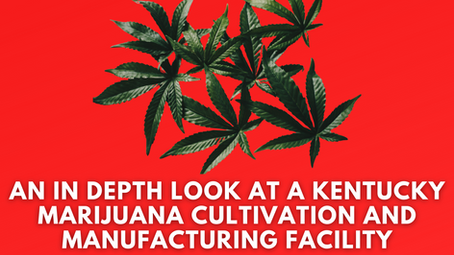 An In Depth Look at a Kentucky Marijuana Cultivation and Manufacturing Facility