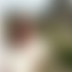 Nota de Pesar e Orientação – 16º Distrito Escoteiro