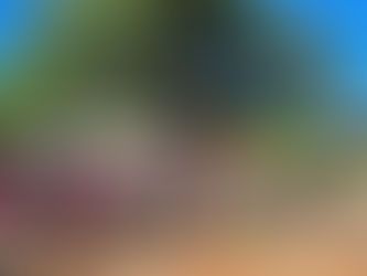 Pedal foi realizado em Comemoração ao Dia do Escoteiro