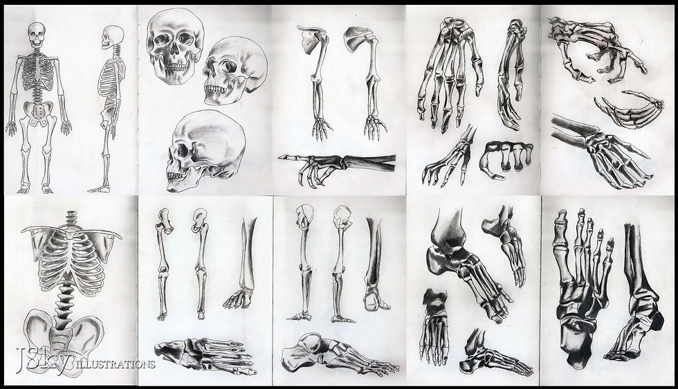 Skeletons