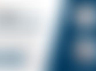 Elevating Language Learning | From Access to Action, Maximizing Professional Trajectories through Multilingualism