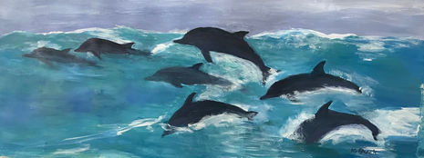 Diving Dolphins
