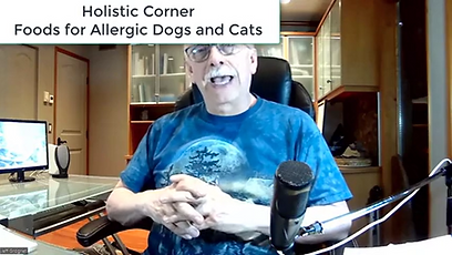 Holistic Corner 4.png