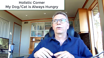 Holistic Corner 3.png
