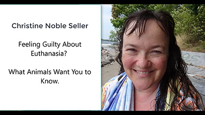 Christine Noble Seller.png