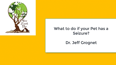 Holistic - Seizures - What to do.png