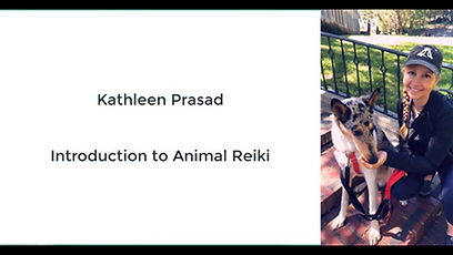 Kathleen Prasad.png