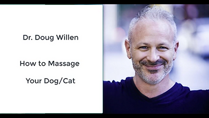 Dr. Doug Willen.png