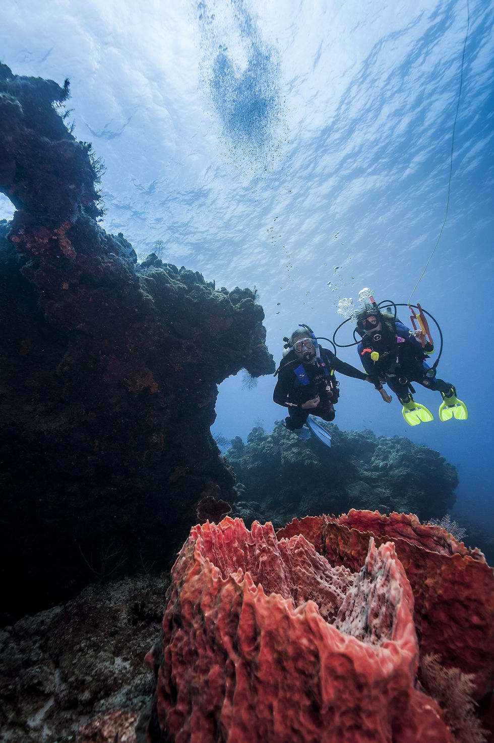 PADI Drift Diver Course.jpeg