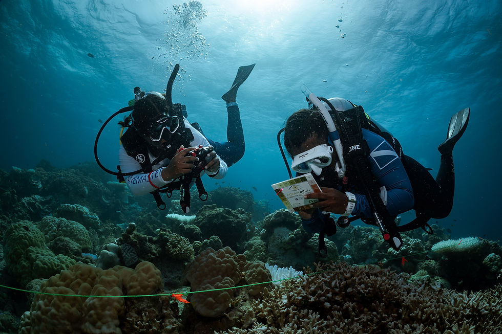 PADI Underwater Naturalist Diver Course.jpeg
