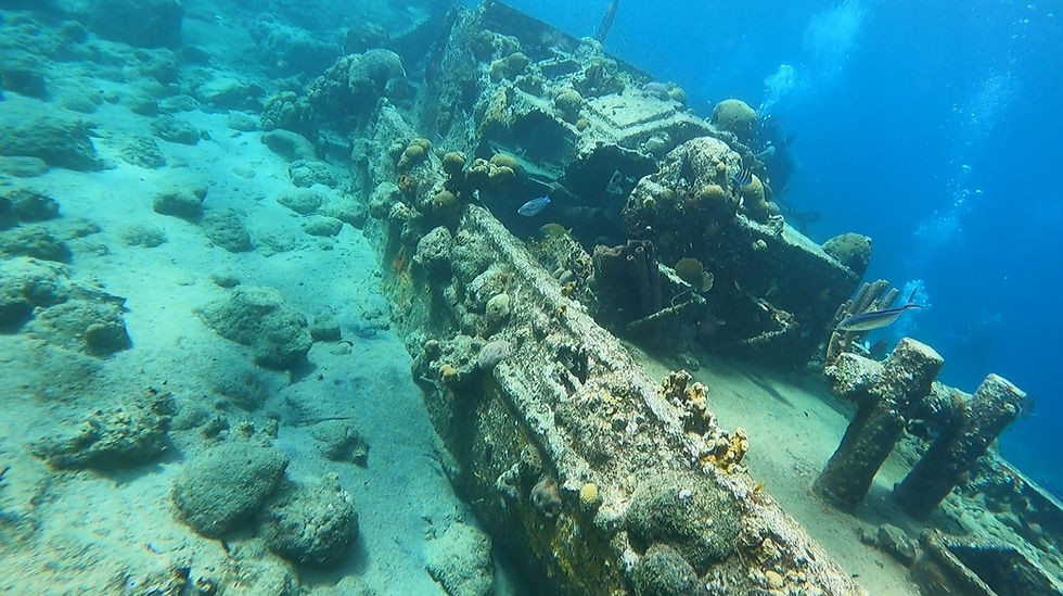 Ship Wreck.jpeg