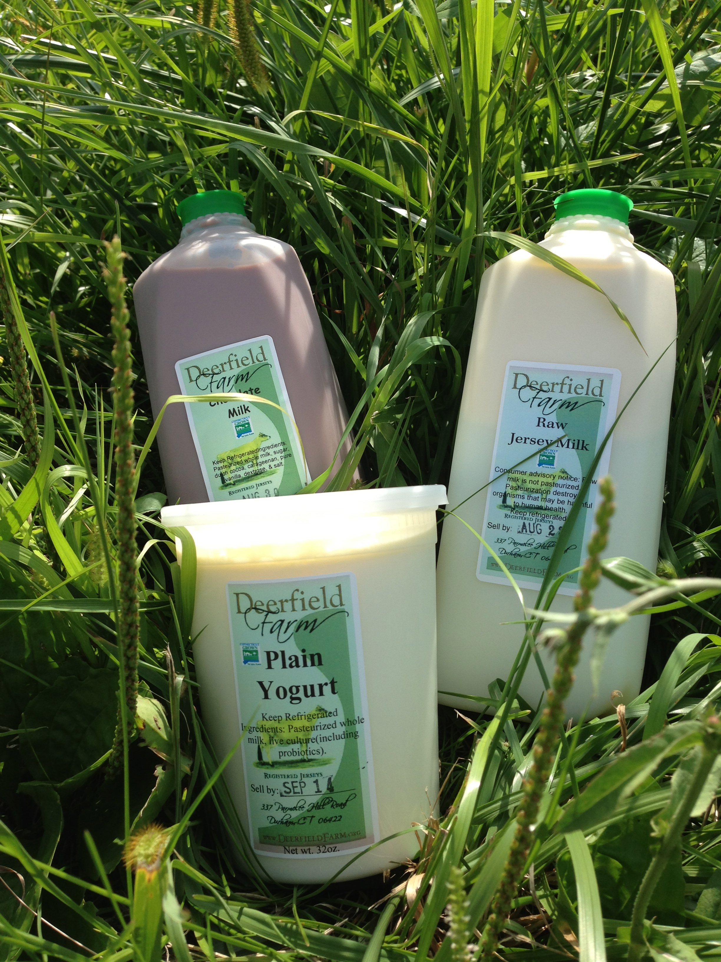 Farm Dairy Products farm-dairy-products