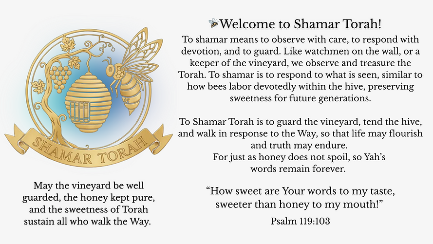 Shamar Torah Home (6).png