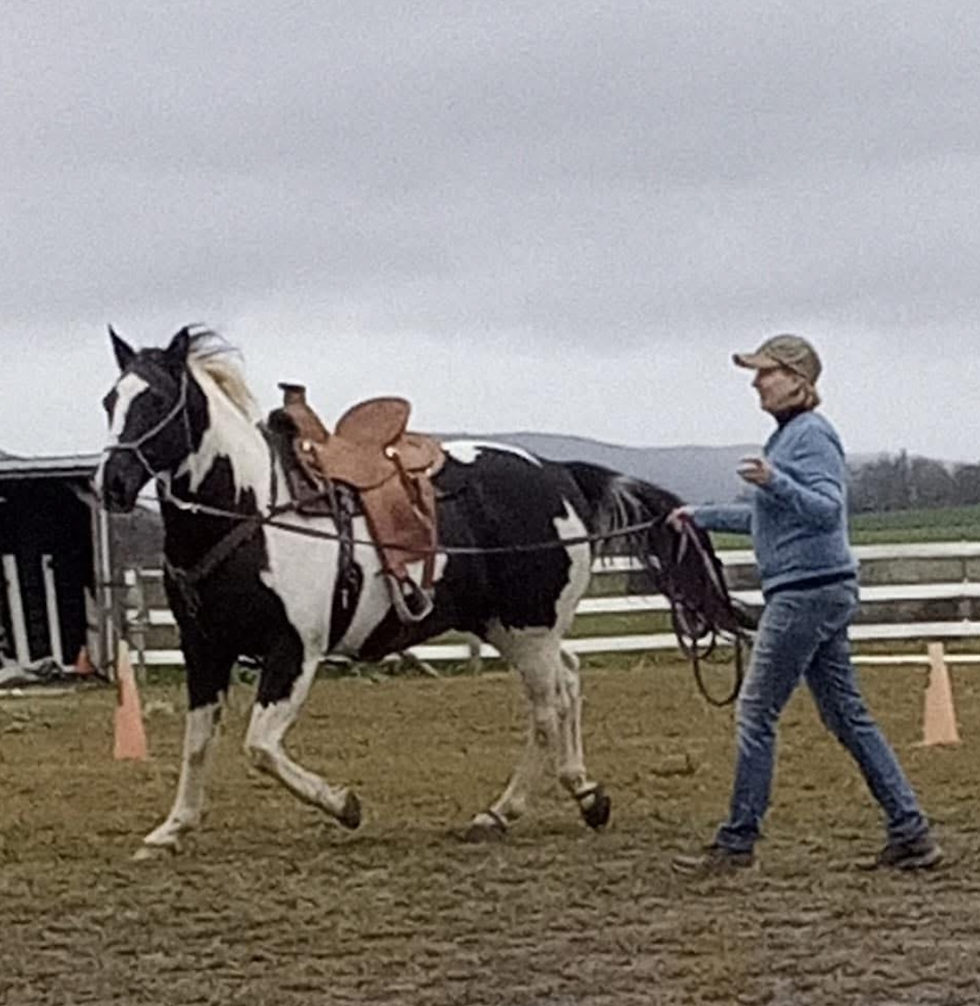 From The Ground Up w/Susan Berger/Horse Connections
