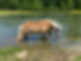 IMG_7037.jpeg