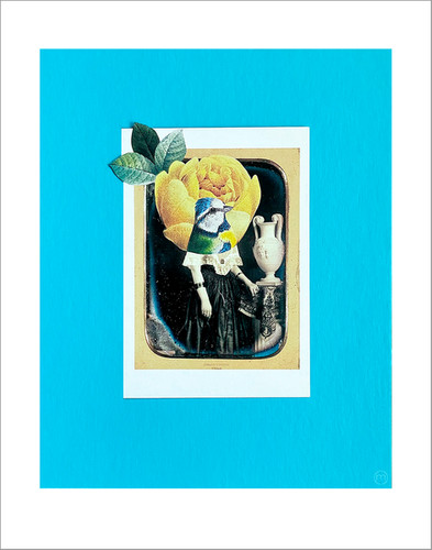 Lady bird | Madcollage.com