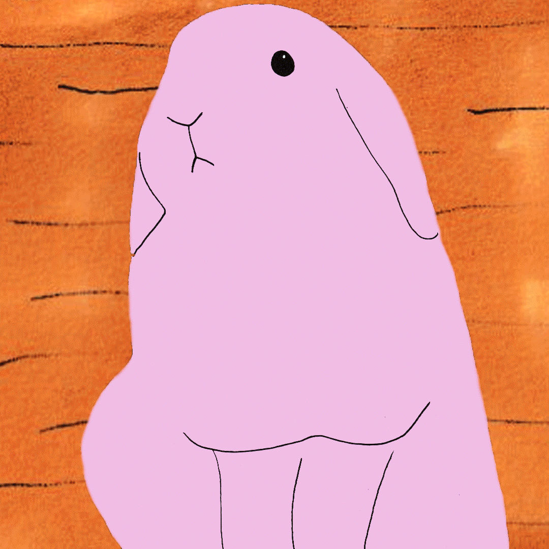 bunny-animation-2.gif