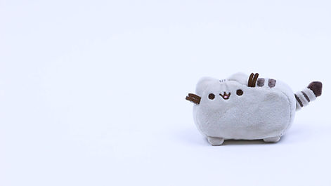 pusheen-in-motion.jpg