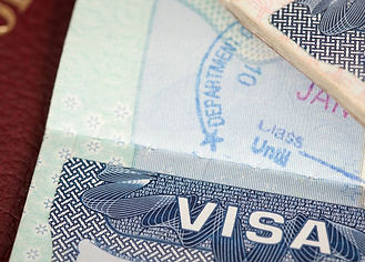 E-Visa Services