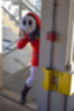 Shy Gal- Mario Series