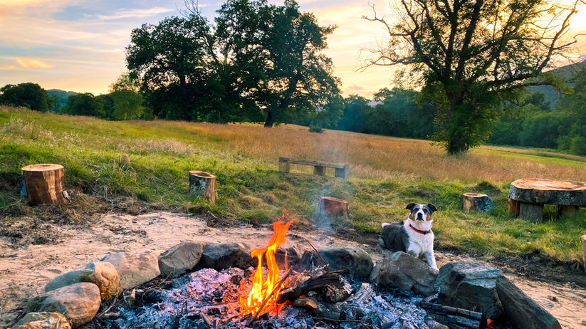 Camp fire camping