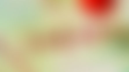 Israel and Palestine: An Intricate History Binding Two Nations