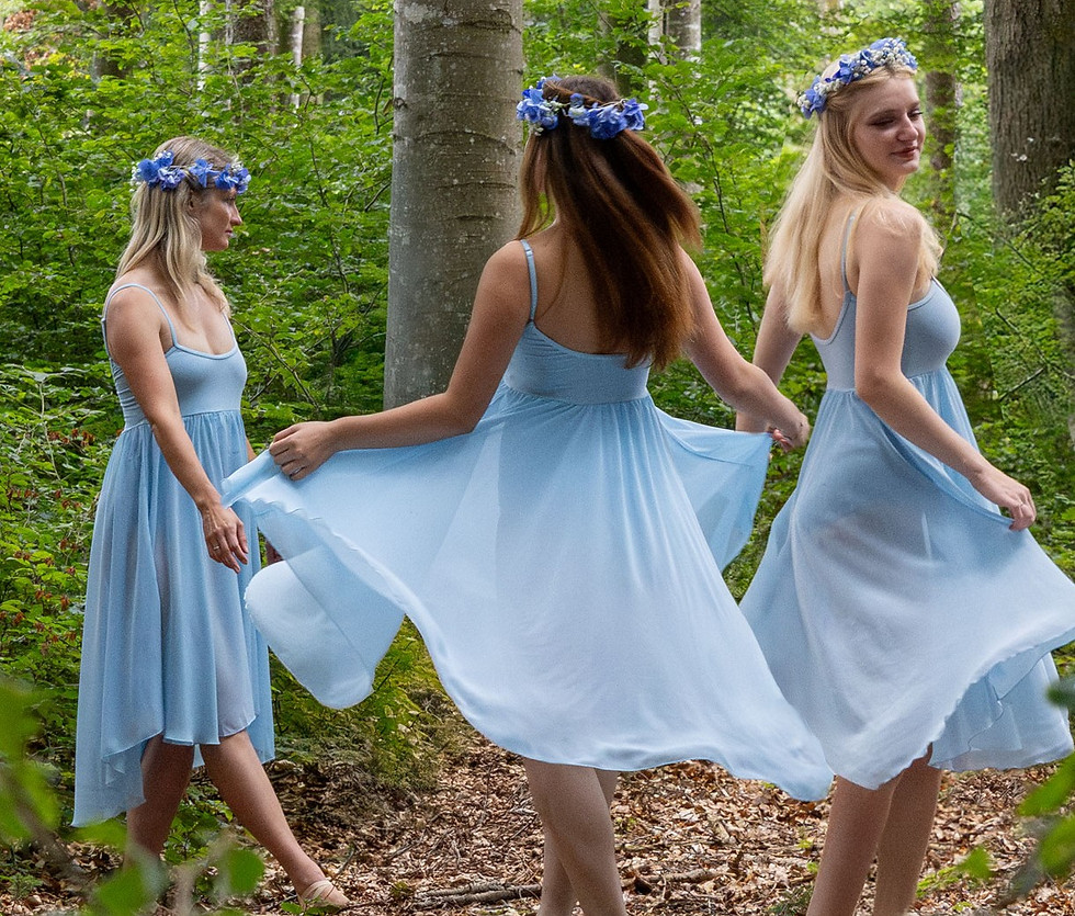 lech-dancers-fairy-dancing.jpg