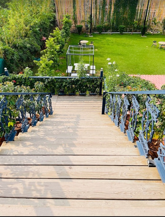 Red Cedar on staircase at Jaipur restaurant
