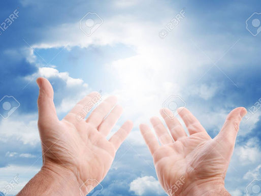 Let Them. Let Go. Let Light In.